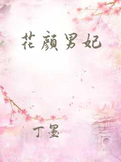 花颜男妃