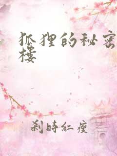 狐狸的秘密19楼