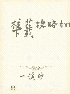 校花攻略txt下载