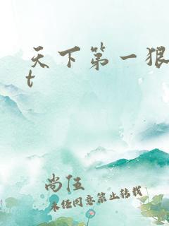 天下第一狠txt