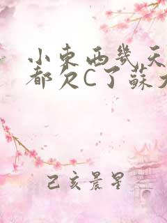 小东西几天没做都欠C了苏大深