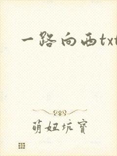 一路向西txt