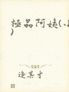 极品阿姨(小说)