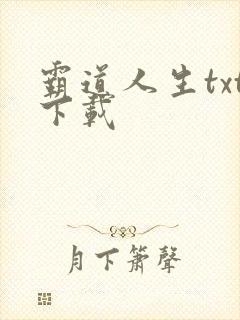 霸道人生txt下载