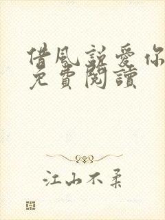 借风说爱你小说免费阅读