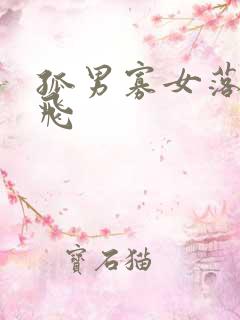 孤男寡女落瑛纷飞