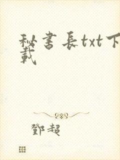 秘书长txt下载