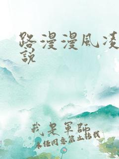路漫漫风凌轩小说