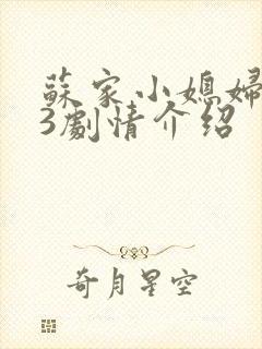 苏家小媳妇1v3剧情介绍