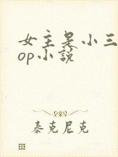 女主是小三的pop小说