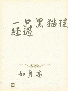 一只黑猫从眼前经过
