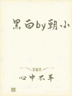 黑白by朝小诚