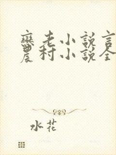 恋老小说言情网农村小说全文阅读