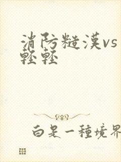 消防糙汉vs宋轻轻