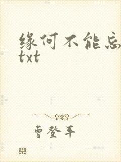 缘何不能忘记你txt