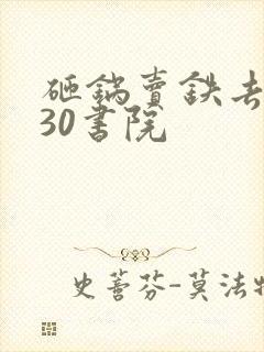 砸锅卖铁去上学30书院