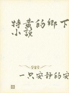 特黄的乡下仑乱小说