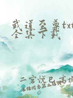 武道至尊txt全集下载