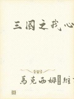 三国之我心狂想