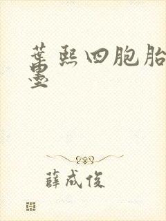 叶熙四胞胎厉子墨