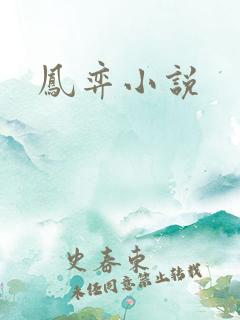 凤弈小说