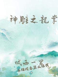 神雕之龙掌门