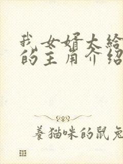 我女婿太给力了的主角介绍