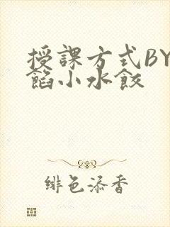 授课方式BY肉馅小水饺