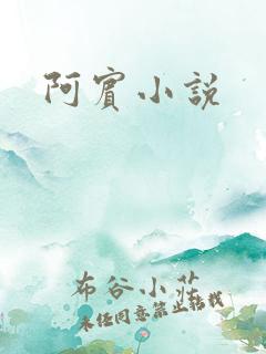 阿宾小说