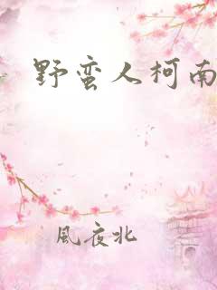 野蛮人柯南小说