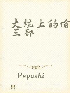 大炕上的偷乱第三部