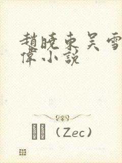 赵晓东吴雪晴郑伟小说