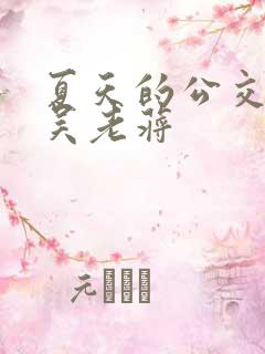 夏天的公交车老吴老蒋