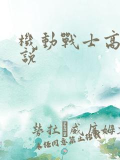 机动战士高达小说