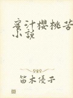 蜜汁樱桃苦咖啡小说