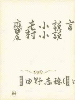 恋老小说言情网农村小说