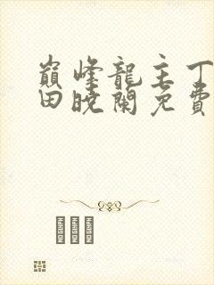 巅峰龙主丁长顺田晓兰免费阅读