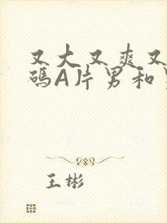 又大又爽又黄无码A片男和男