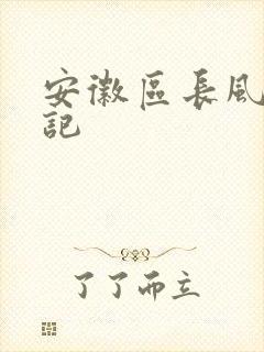 安徽区长风流日记
