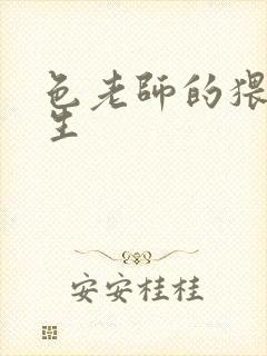 色老师的猥琐人生