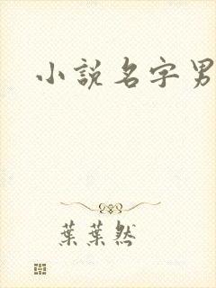 小说名字男生