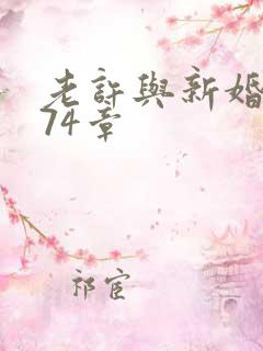 老许与新婚小倩74章