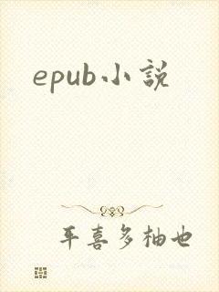epub小说