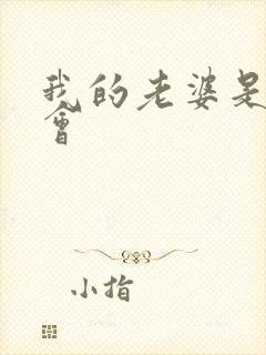 我的老婆是黑社会