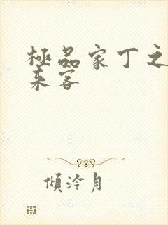 极品家丁之远方来客