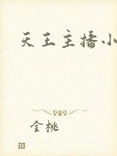 天王主播小说
