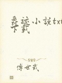 爵迹小说txt下载