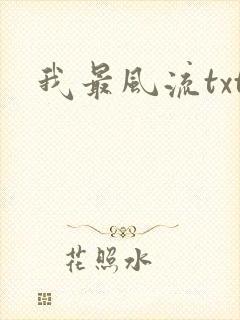 我最风流txt