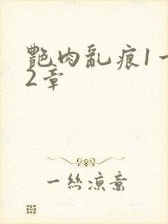 艳肉乱痕1一12章