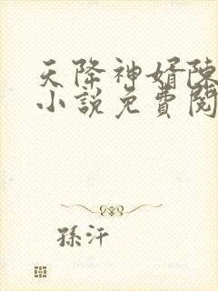 天降神婿陈黄皮小说免费阅读